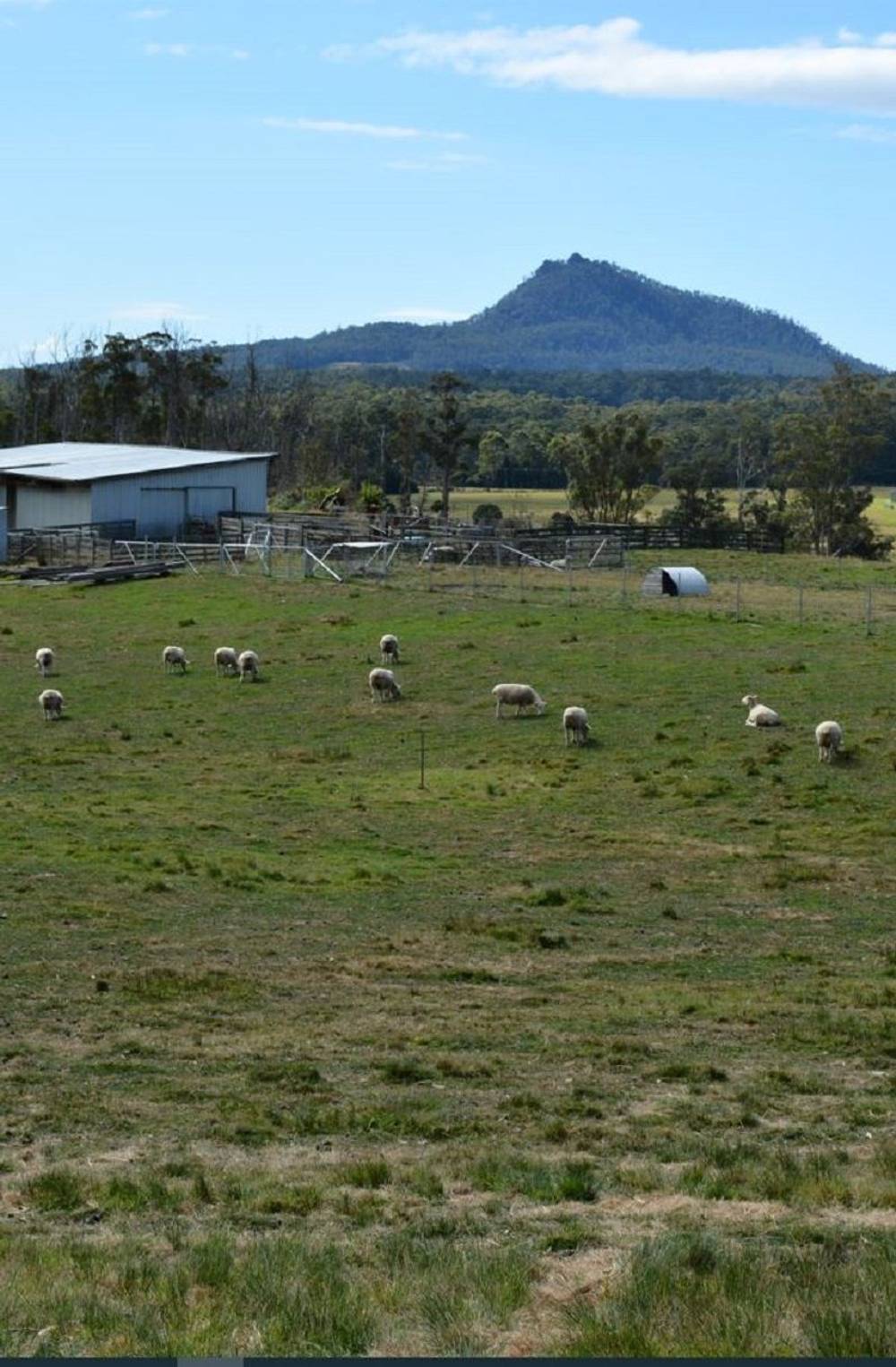 Lot 3 Hills Road, GRAY, tas 7215