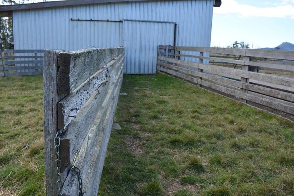 Lot 3 Hills Road, GRAY, tas 7215