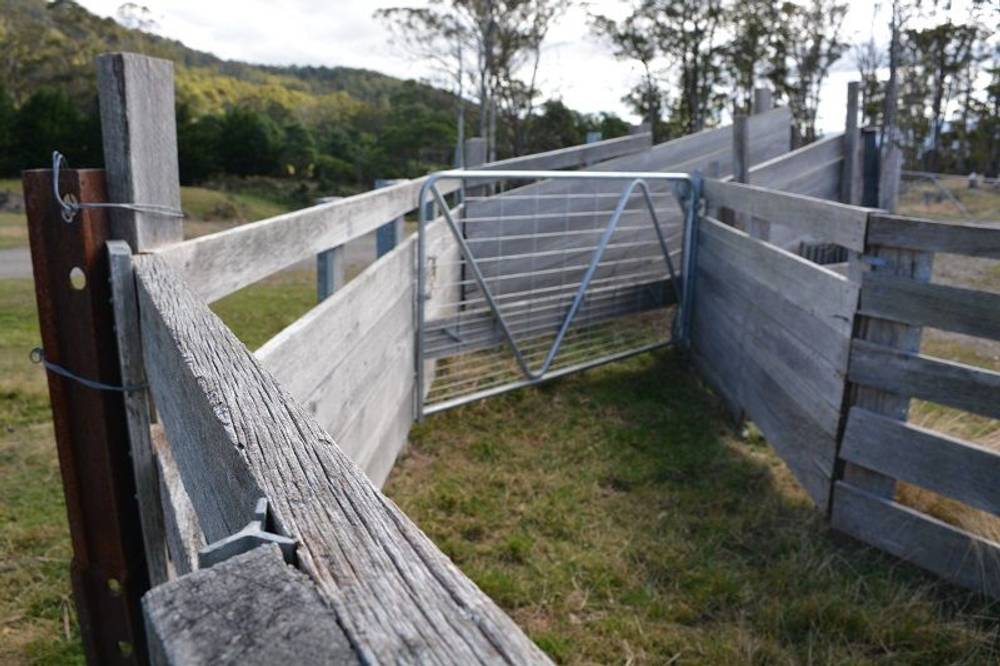 Lot 3 Hills Road, GRAY, tas 7215