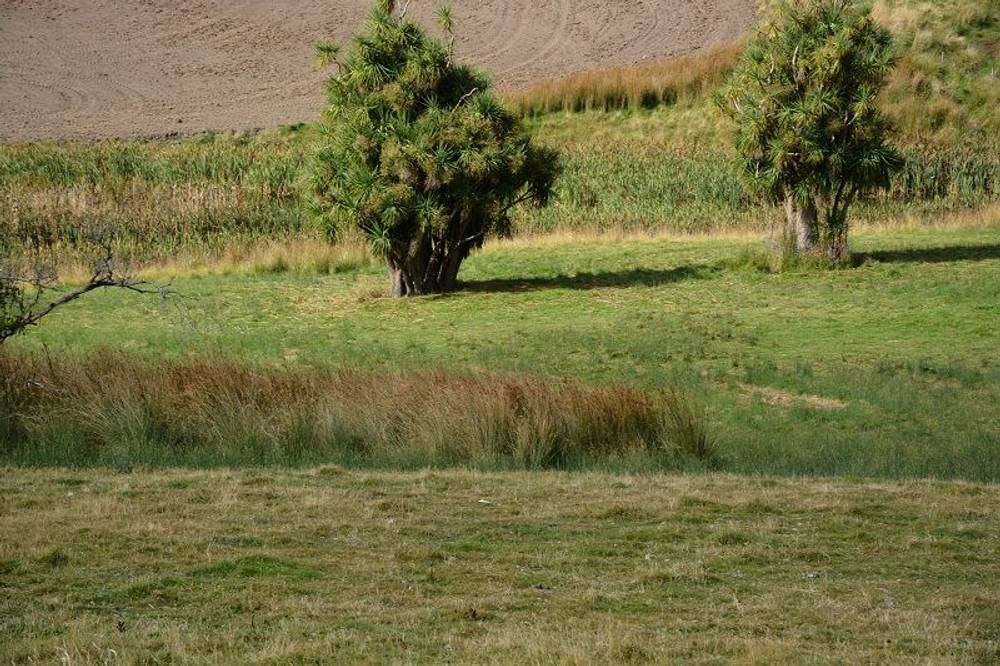 Lot 3 Hills Road, GRAY, tas 7215