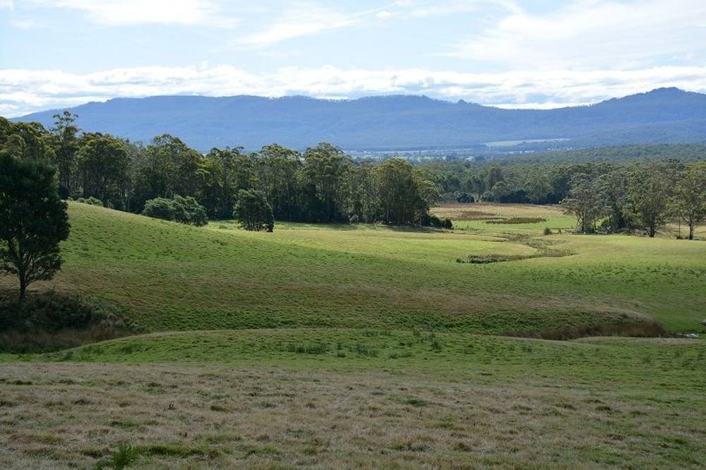 Lot 3 Hills Road, GRAY, tas 7215