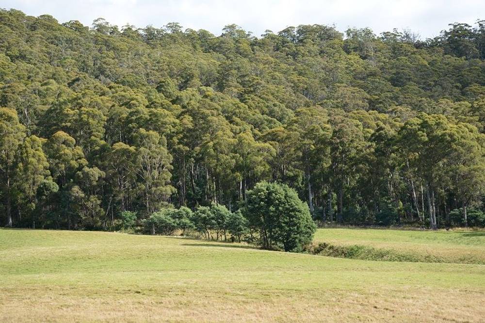 Lot 3 Hills Road, GRAY, tas 7215
