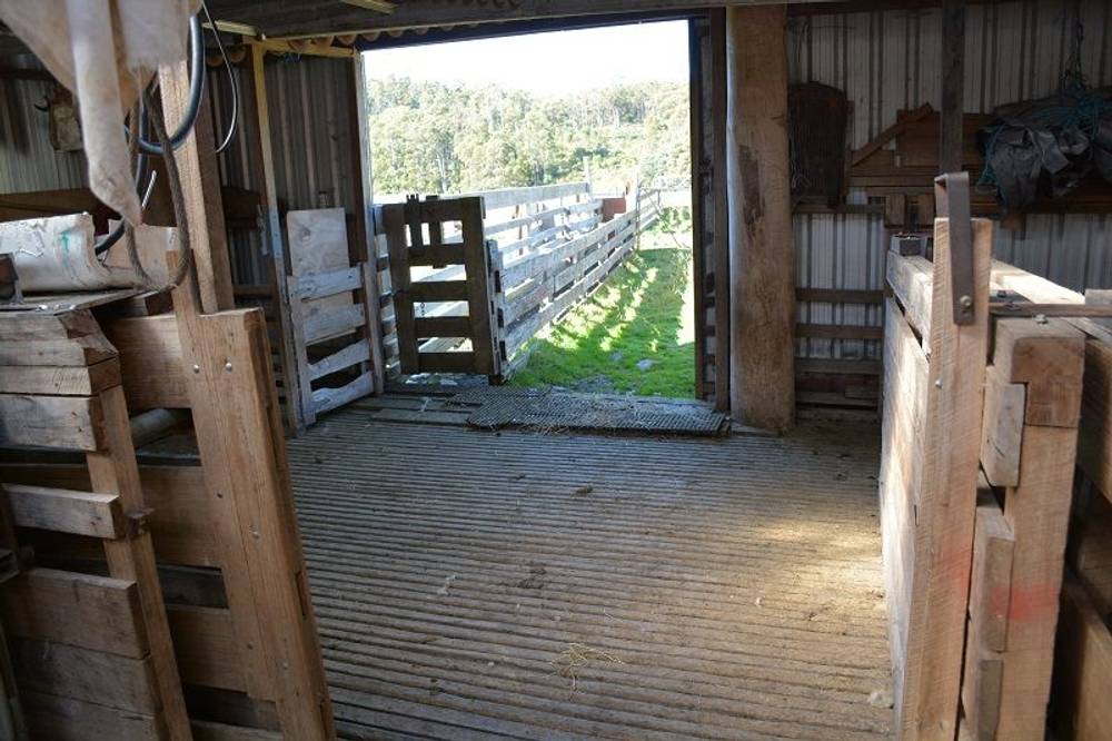 Lot 3 Hills Road, GRAY, tas 7215