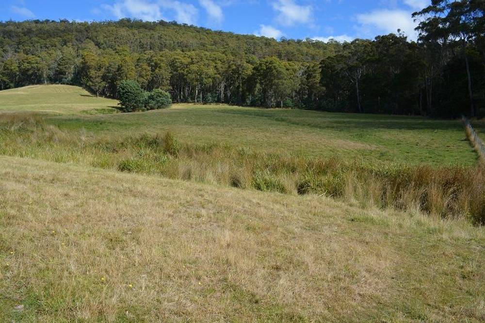 Lot 3 Hills Road, GRAY, tas 7215
