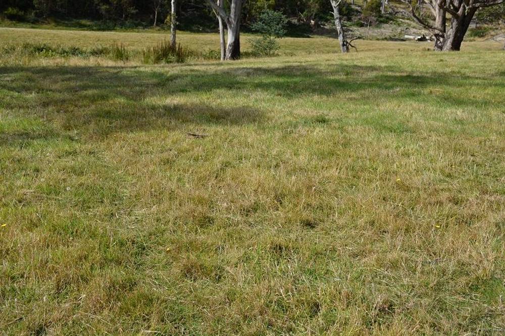 Lot 3 Hills Road, GRAY, tas 7215