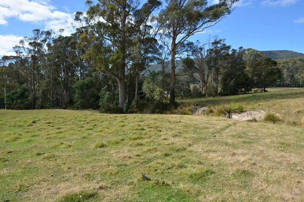 Lot 3 Hills Road, GRAY, tas 7215
