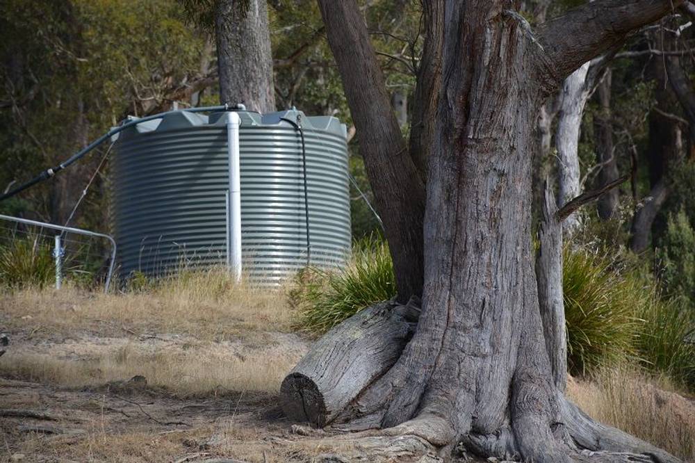 Lot 3 Hills Road, GRAY, tas 7215