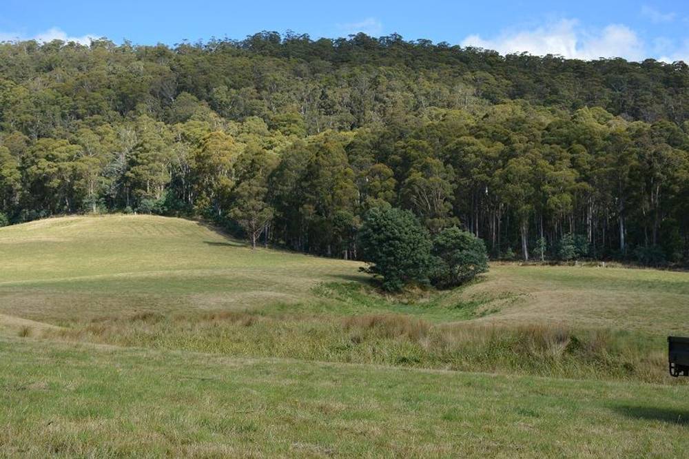Lot 3 Hills Road, GRAY, tas 7215