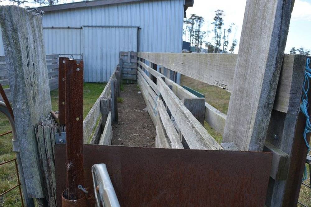 Lot 3 Hills Road, GRAY, tas 7215