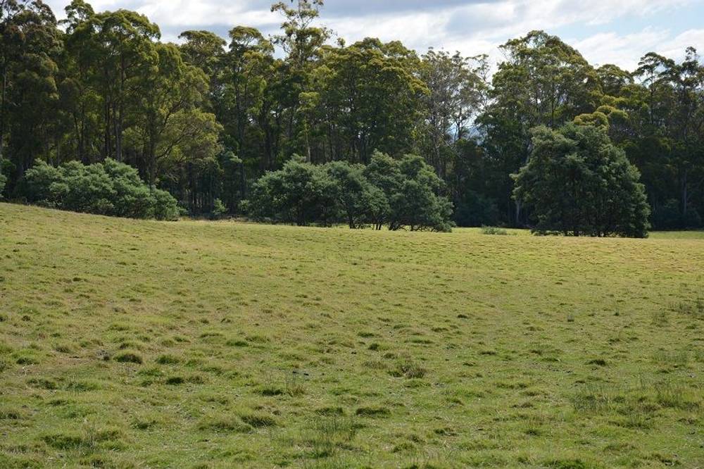 Lot 3 Hills Road, GRAY, tas 7215