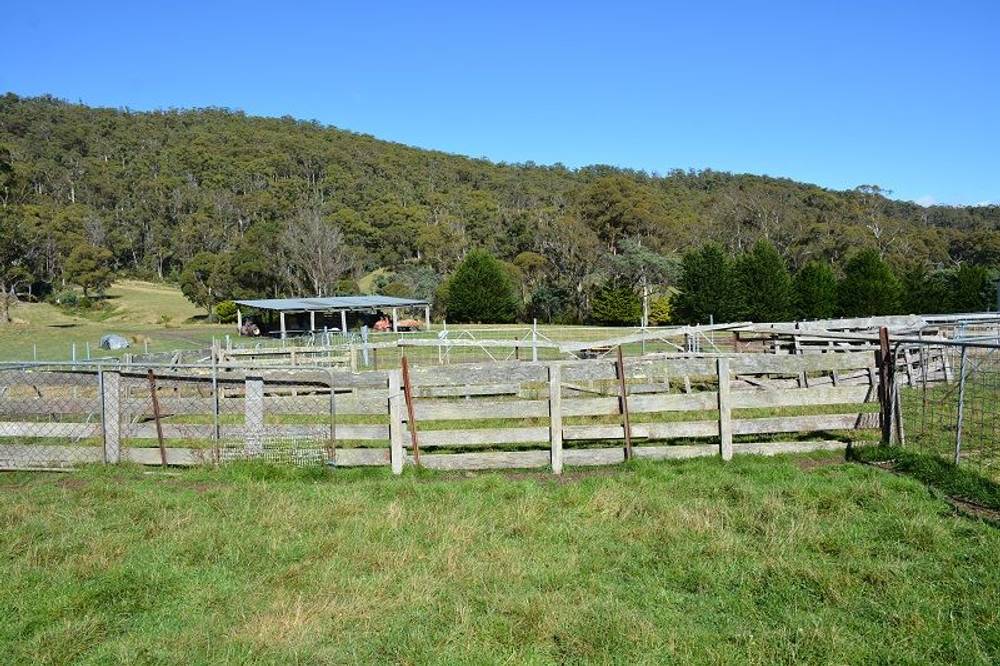 Lot 3 Hills Road, GRAY, tas 7215