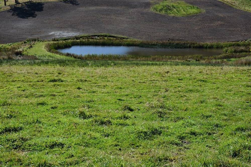 Lot 3 Hills Road, GRAY, tas 7215