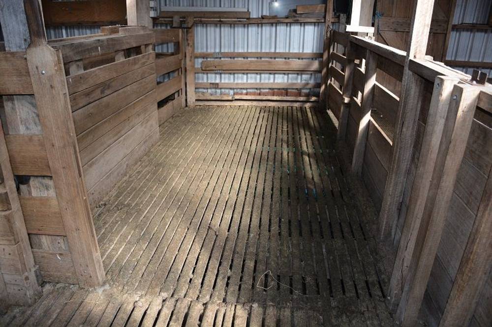 Lot 3 Hills Road, GRAY, tas 7215