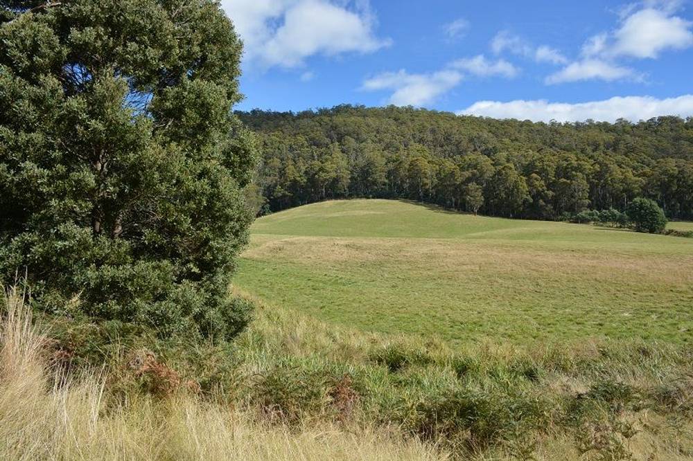 Lot 3 Hills Road, GRAY, tas 7215