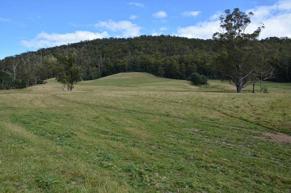 Lot 3 Hills Road, GRAY, tas 7215