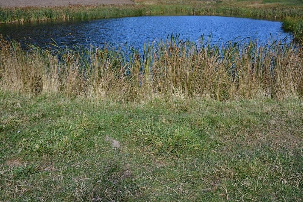 Lot 3 Hills Road, GRAY, tas 7215