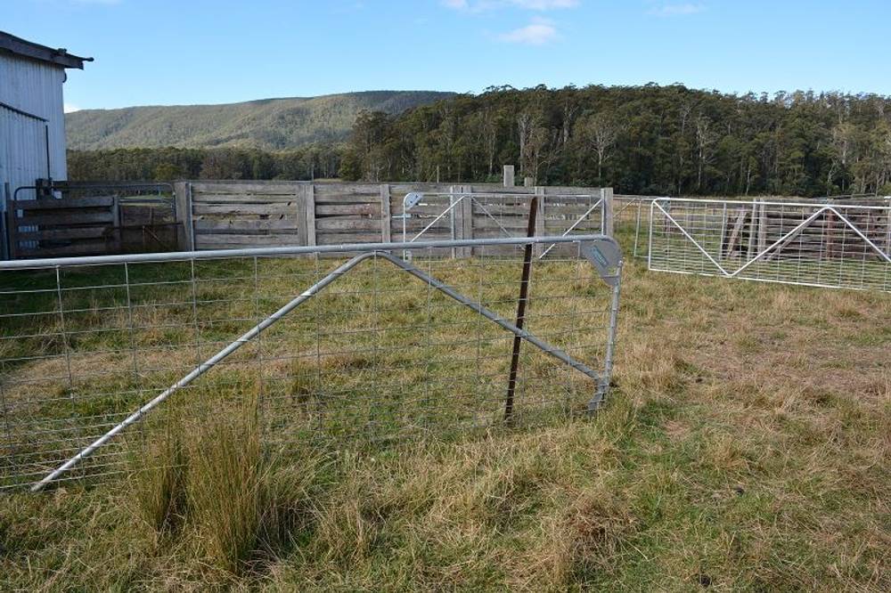 Lot 3 Hills Road, GRAY, tas 7215