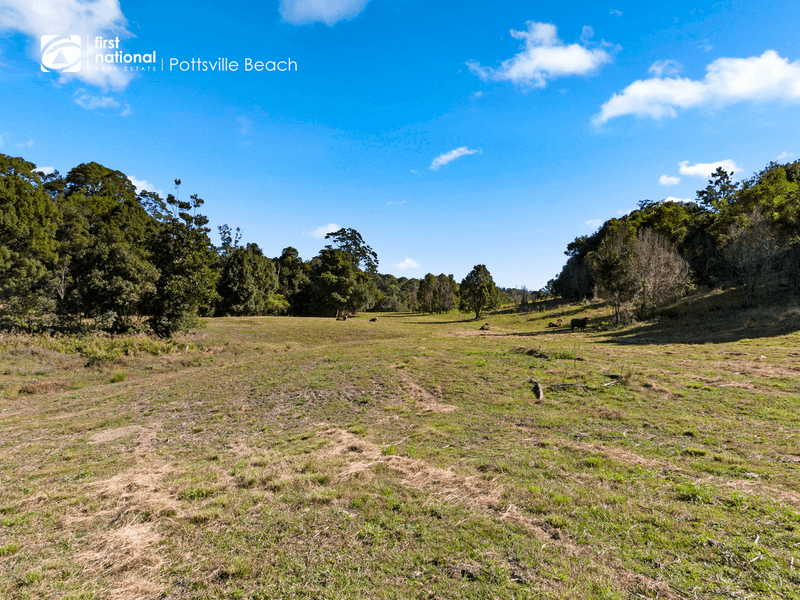 487 Wardrop Valley Road, Fernvale, NSW 2484