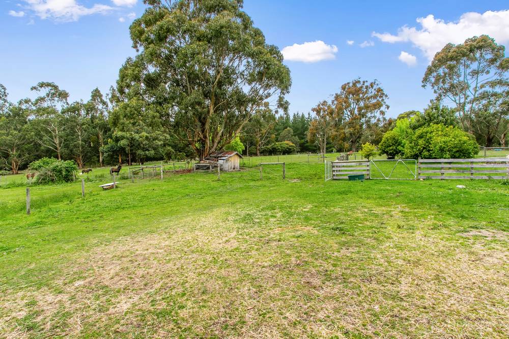 15 Rickard Drive, Churchill, VIC 3842