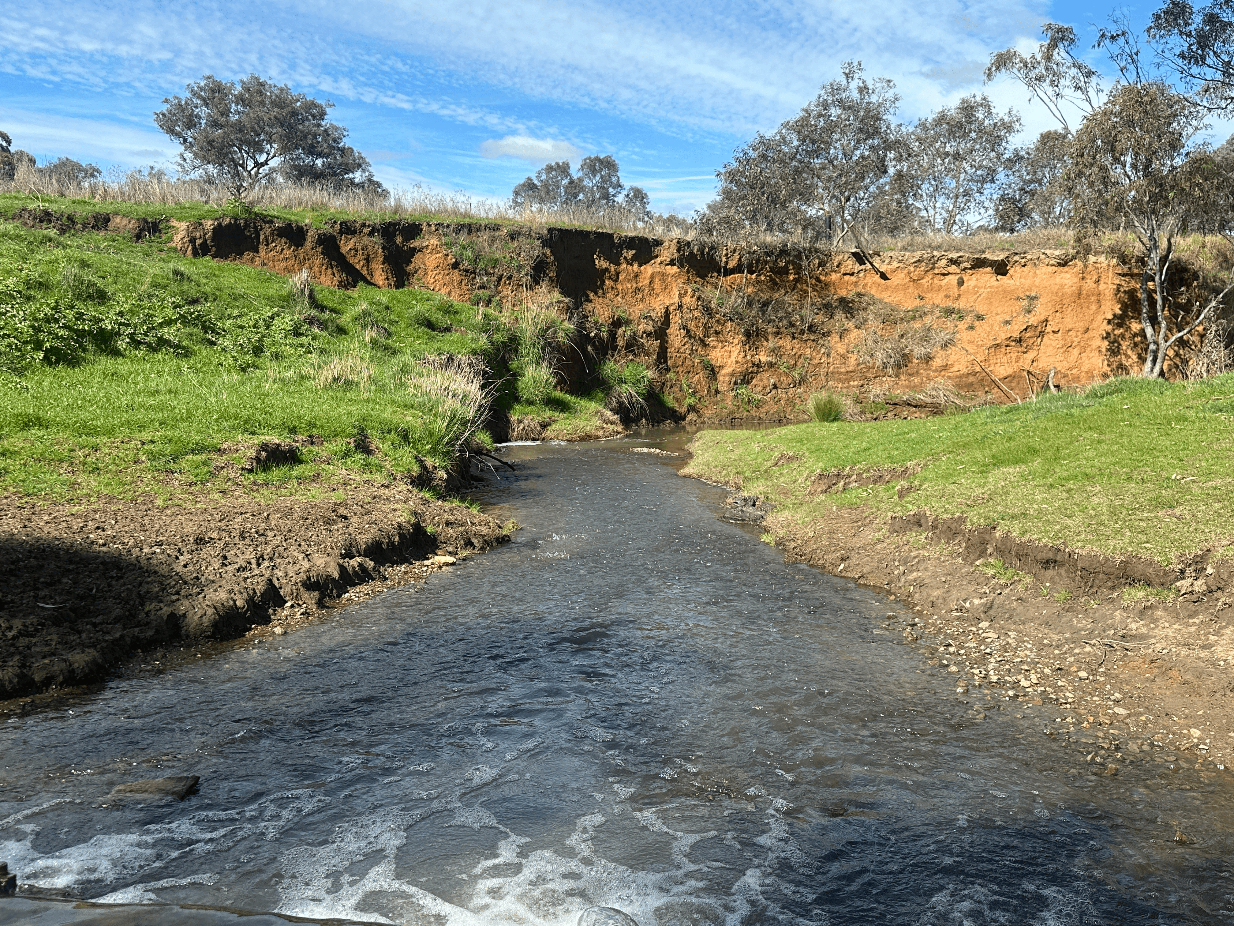 5413 Muttama Road, COOTAMUNDRA, NSW 2590