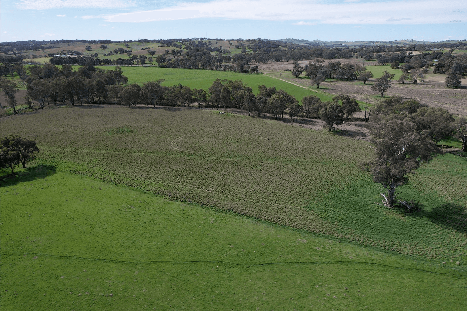 5413 Muttama Road, COOTAMUNDRA, NSW 2590