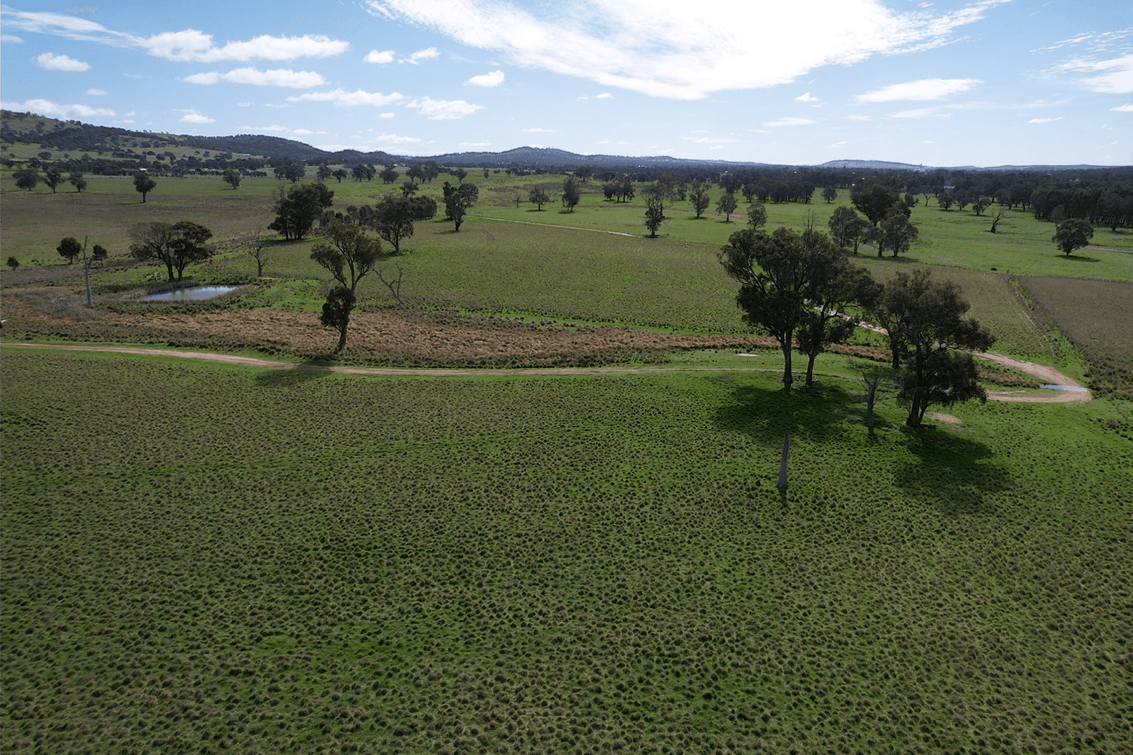 5413 Muttama Road, COOTAMUNDRA, NSW 2590