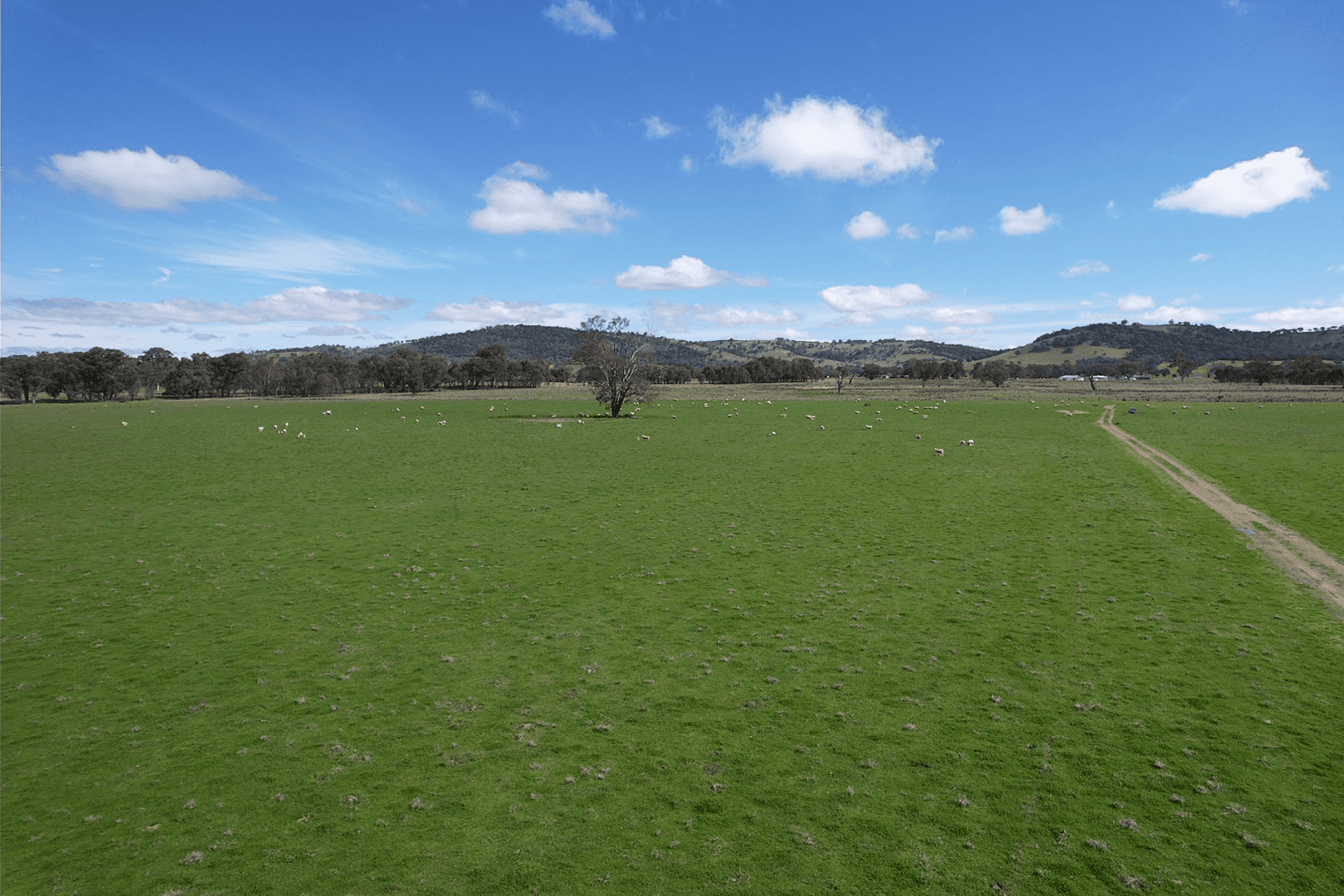 5413 Muttama Road, COOTAMUNDRA, NSW 2590