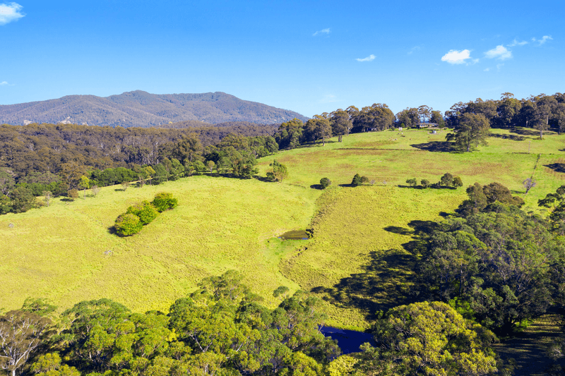 233 Wagonga Scenic Drive, NAROOMA, NSW 2546