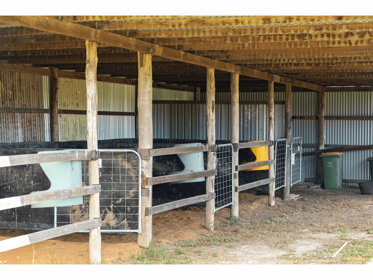 165 Bulby Brush Road, BUNYAH, NSW 2429