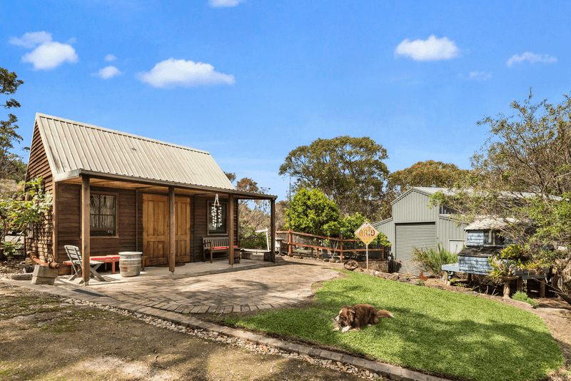 12 Dendrobium Crescent, ELANORA HEIGHTS, NSW 2101