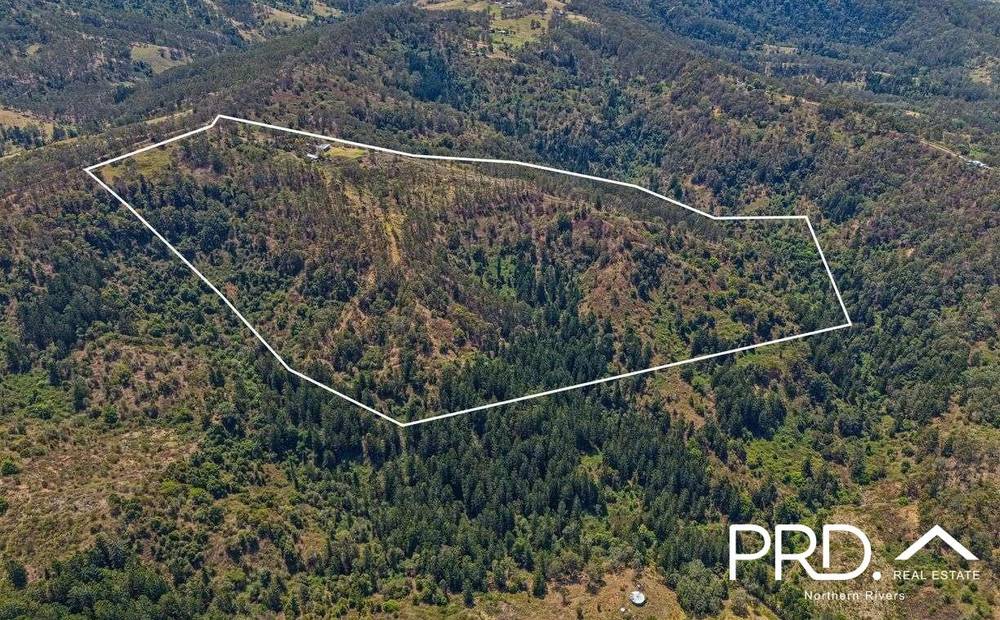 206 Sargents Road, KYOGLE, NSW 2474