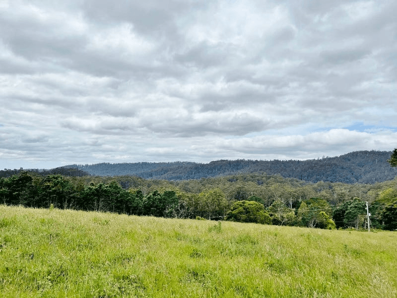 Lot/2 Tasman Highway, WELDBOROUGH, TAS 7264