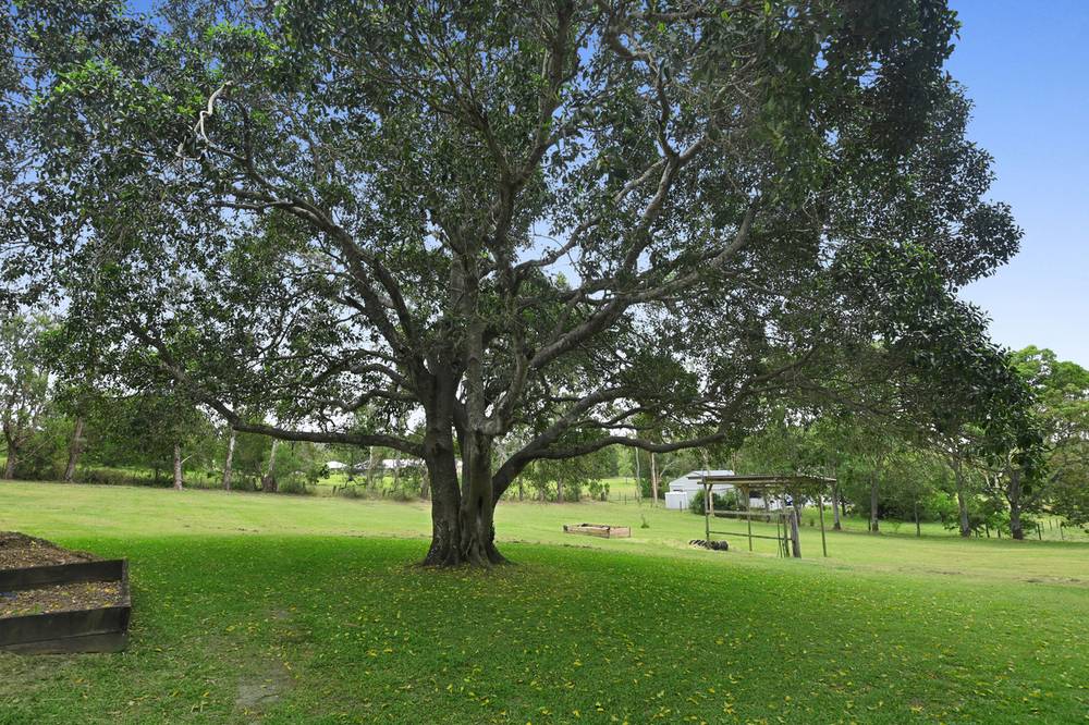 160 Wights Mountain Road, SAMFORD VALLEY, QLD 4520