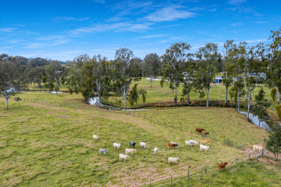 1 Yorkdale Lane, JONES HILL, QLD 4570