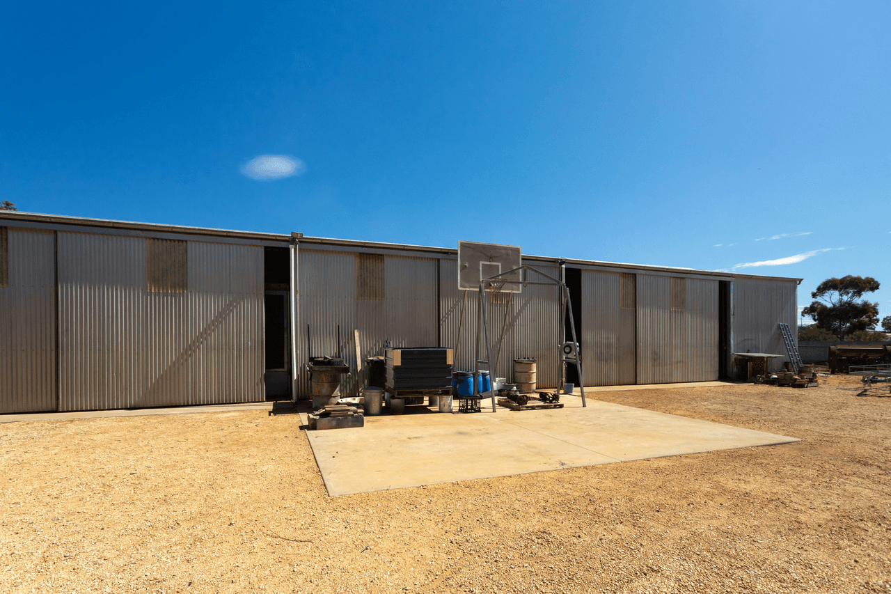 80 Trenerry Avenue, LOXTON, SA 5333