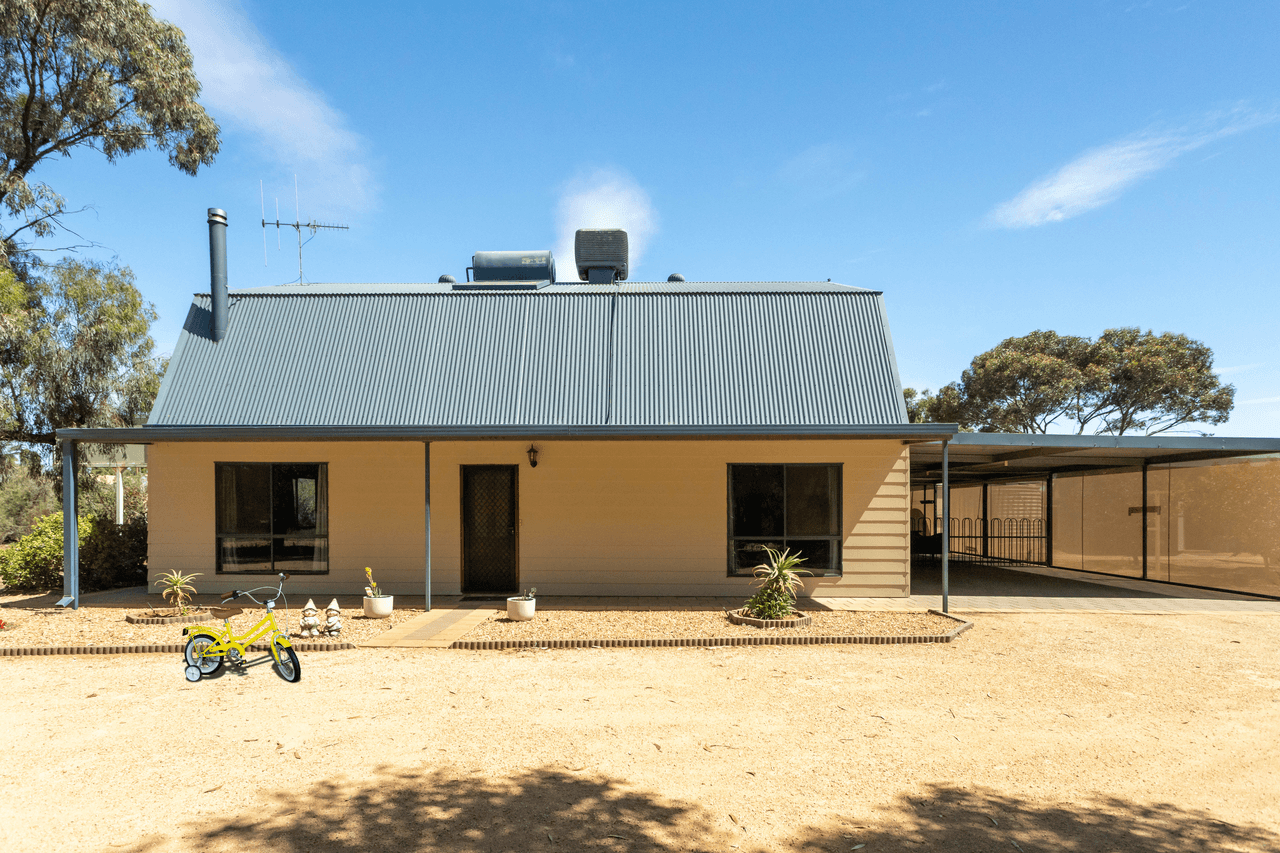 80 Trenerry Avenue, LOXTON, SA 5333