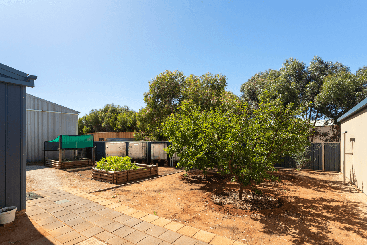 80 Trenerry Avenue, LOXTON, SA 5333