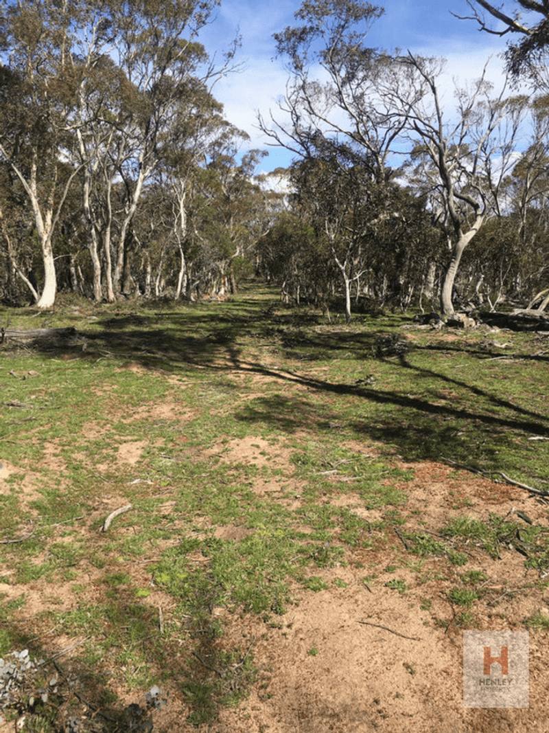 Lot 82 Westons Road, Crackenback, NSW 2627