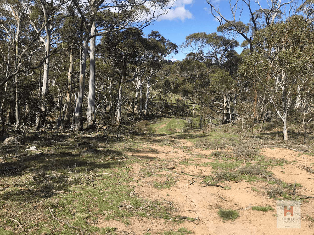 Lot 82 Westons Road, Crackenback, NSW 2627