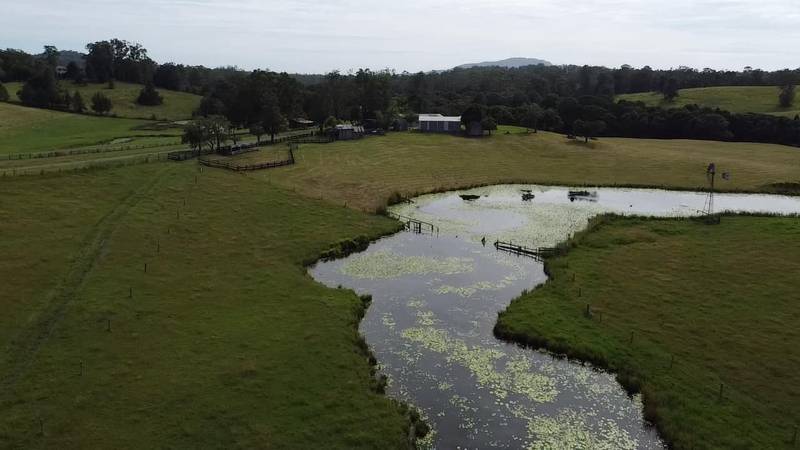 Lot 2/87 Searles Rd, Tamban, NSW 2441