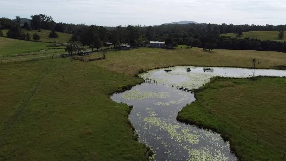 Lot 2/87 Searles Rd, Tamban, NSW 2441