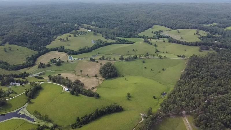 Lot 2/87 Searles Rd, Tamban, NSW 2441