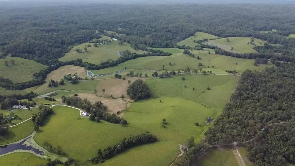 Lot 2/87 Searles Rd, Tamban, NSW 2441