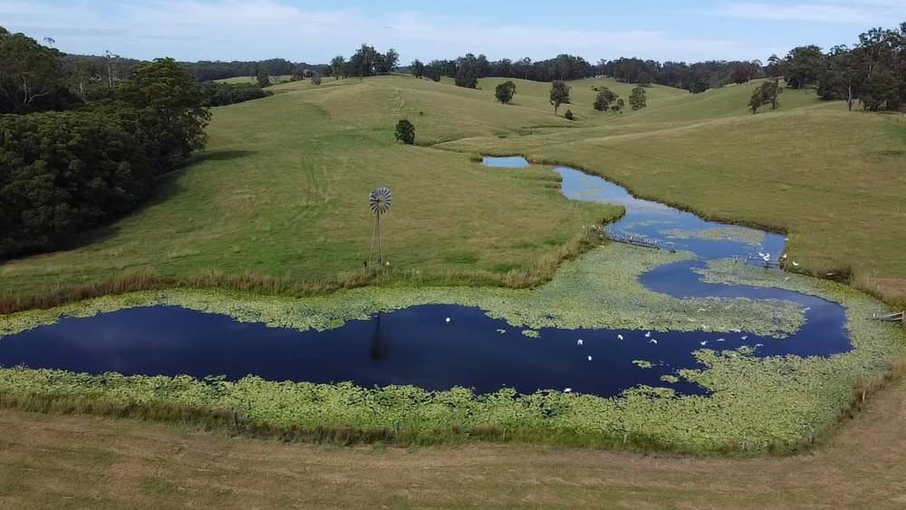 Lot 2/87 Searles Rd, Tamban, NSW 2441