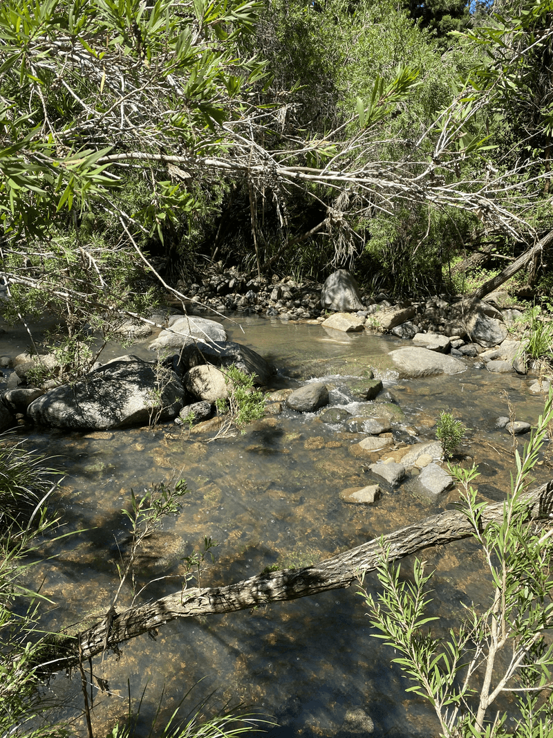 Lot 12 Upper Cedar Creek Road, CONONDALE, QLD 4552