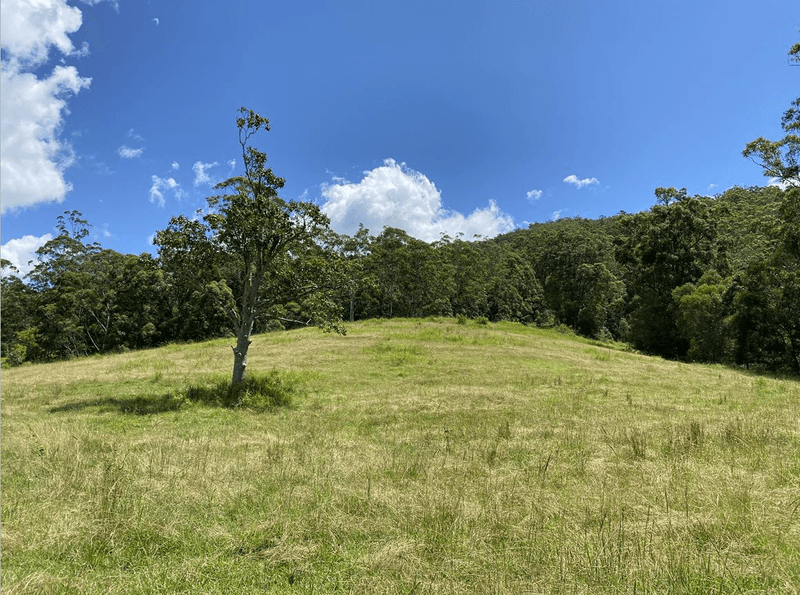 Lot 12 Upper Cedar Creek Road, CONONDALE, QLD 4552