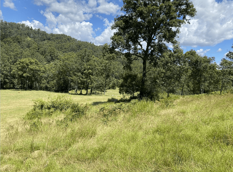 Lot 12 Upper Cedar Creek Road, CONONDALE, QLD 4552