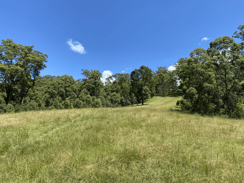 Lot 12 Upper Cedar Creek Road, CONONDALE, QLD 4552