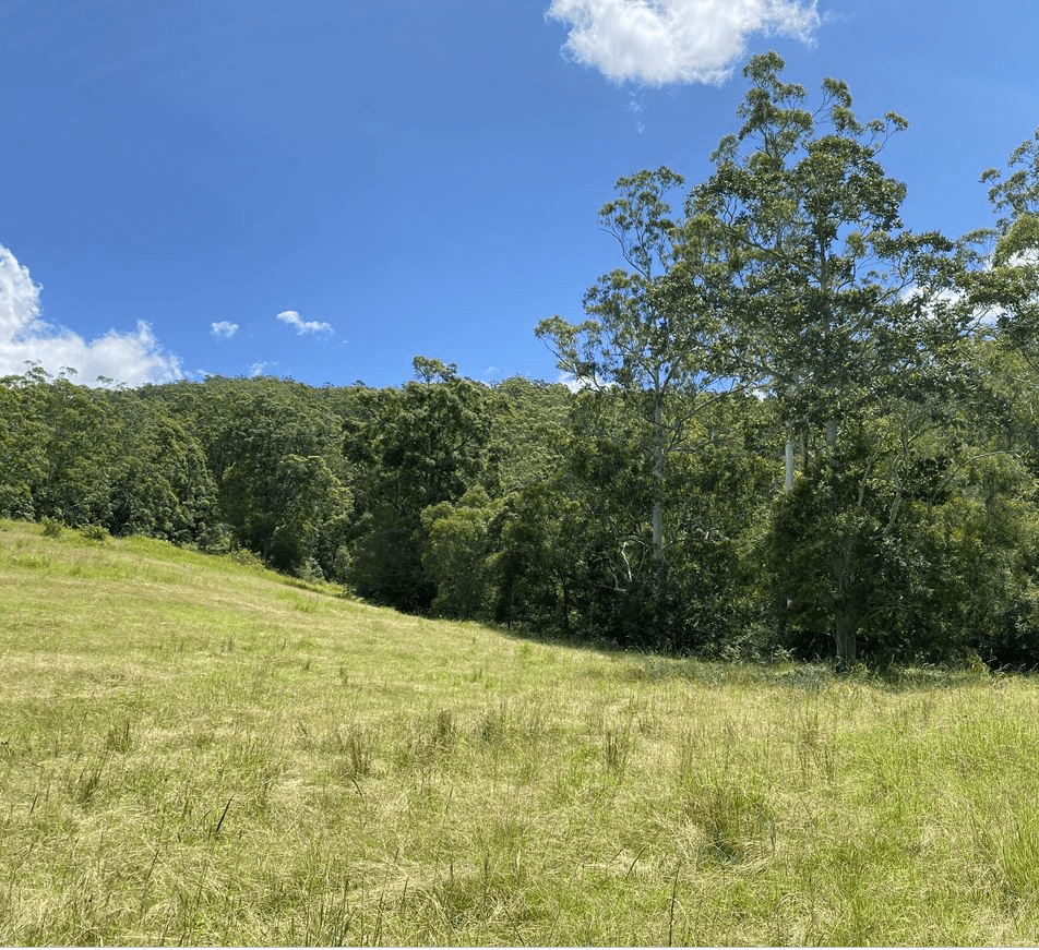 Lot 12 Upper Cedar Creek Road, CONONDALE, QLD 4552