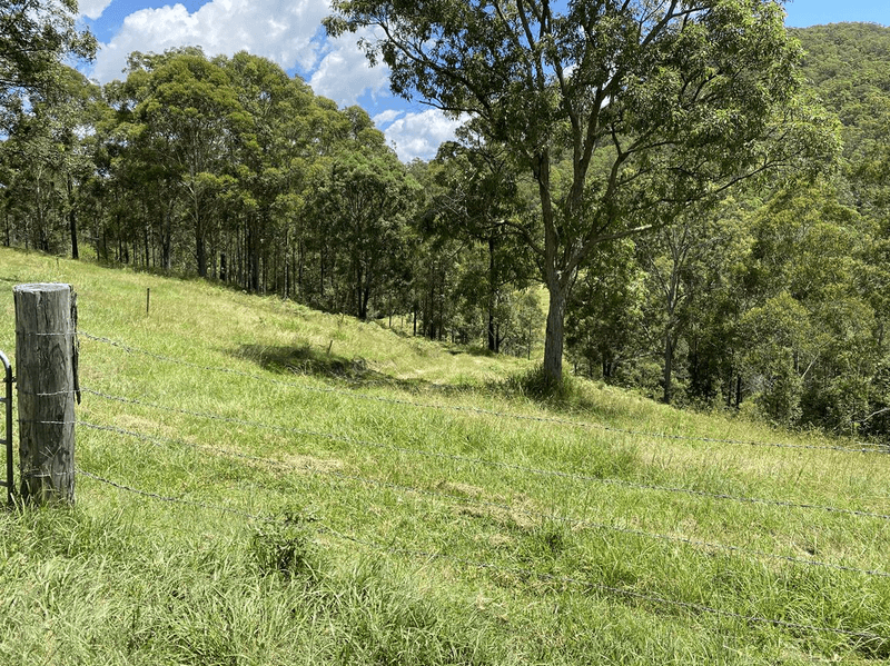 Lot 12 Upper Cedar Creek Road, CONONDALE, QLD 4552